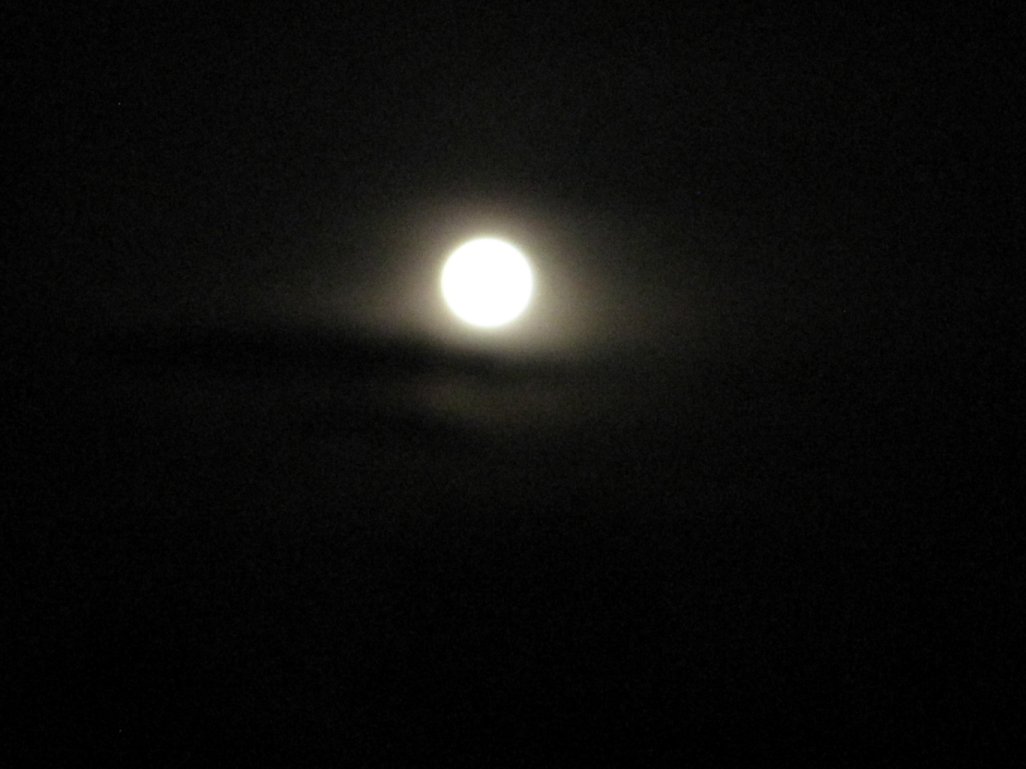 moon31911.jpg