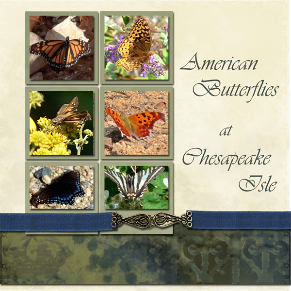Versailles-American-Butterf.jpg