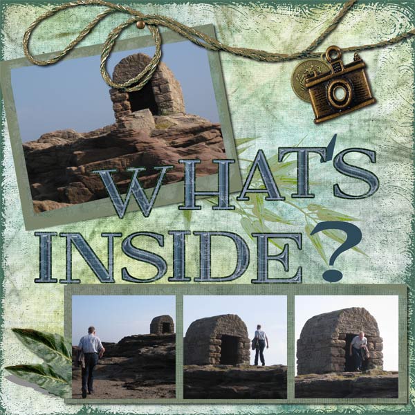 What's-Inside.jpg
