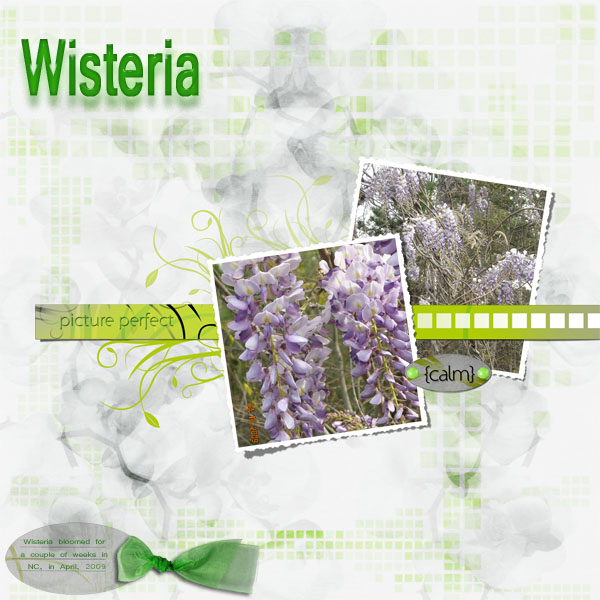 2009_04_Spring_Challenge_Wisteria.jpg