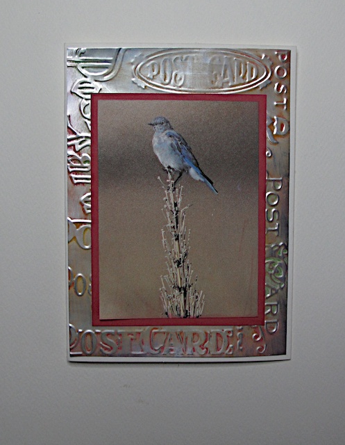 Paulas Bluebird Card.jpg