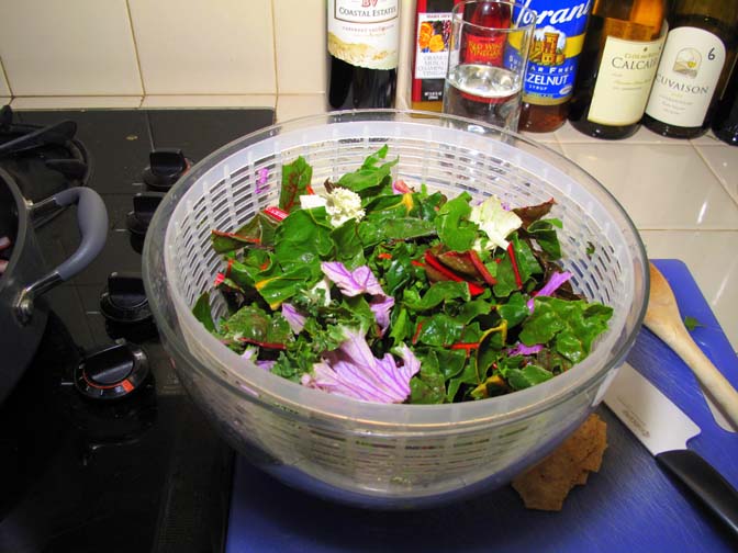 Chard kale and savoy.jpg