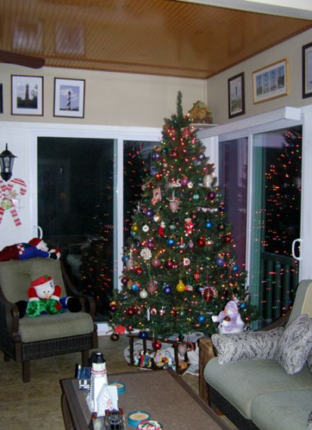 Porch tree.jpg