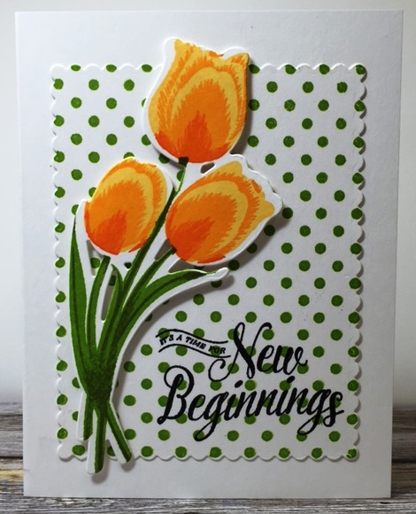 The tulips I've used, but not for awhile. The sentiment is from the same set (PaperTrey Ink) but never used. The polka dot background is one of the forgotten stamps!