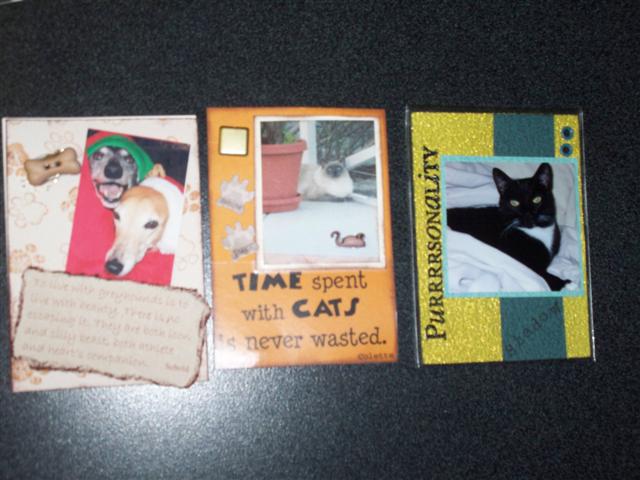 pet swap 010 (Small).jpg