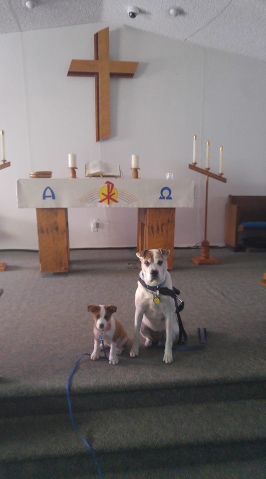 Suzie and Sally at church.jpg