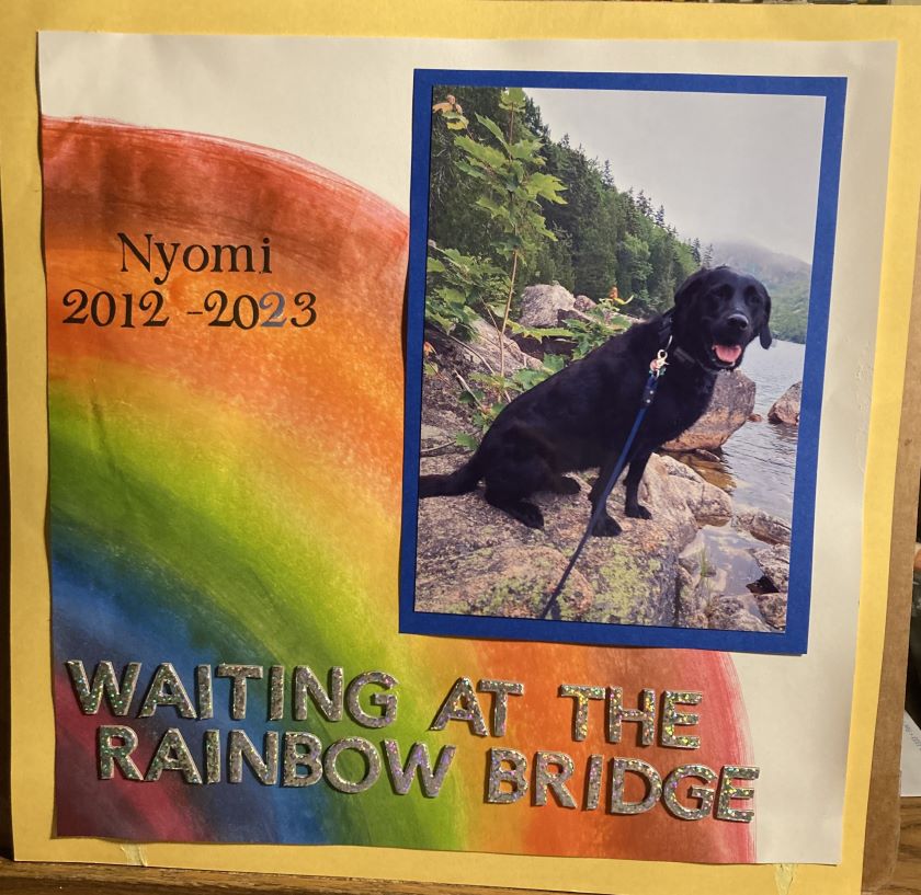 nyomi rainbow bridge.jpg