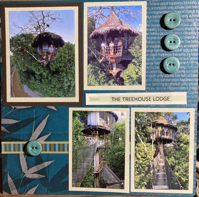 treehouse lodge left side resized.jpg