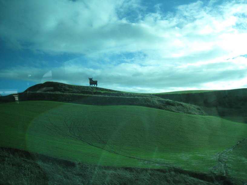 Beautiful green countryside