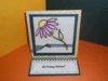 DSCN1964_copy.gif