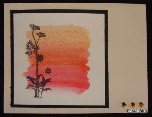 WatercolorSwipeFlowers1.jpg